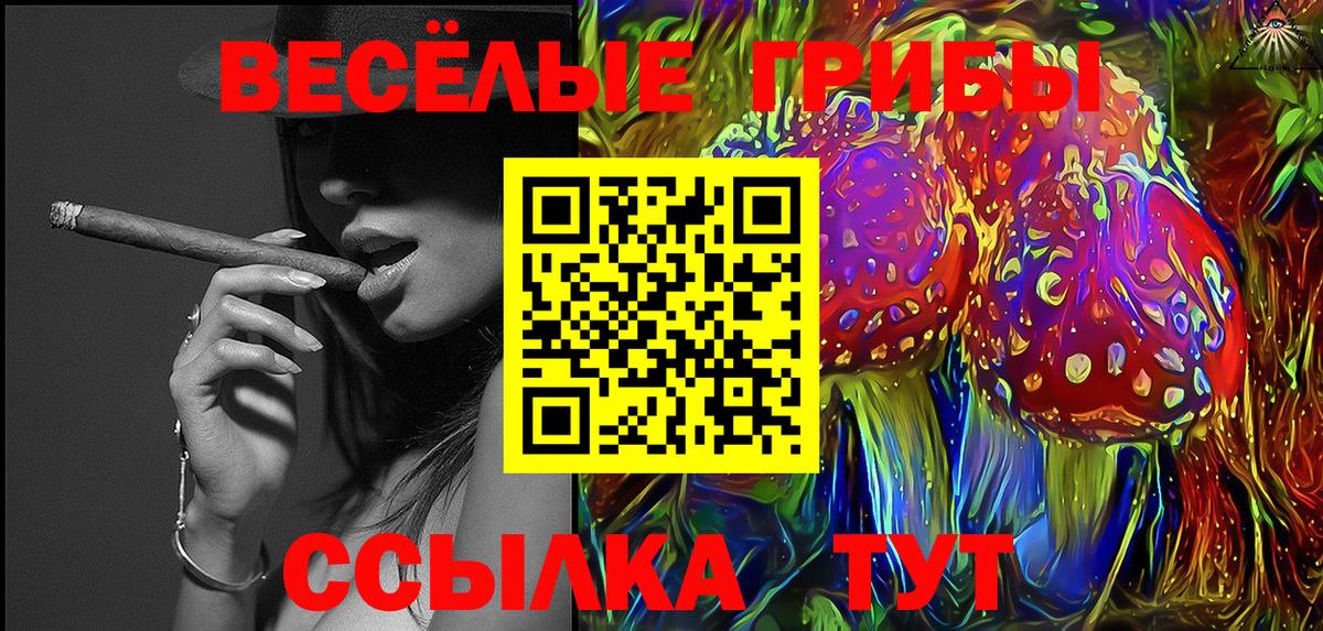 Миасс  Галлюциногенные грибы Cubensis  Вход с VPN 